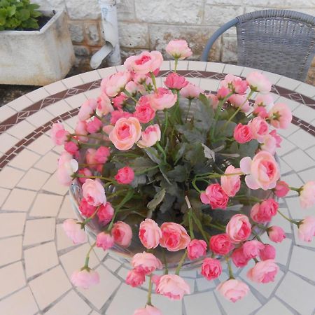 파사노 La Collina Degli Ulivi 아파트 외부 사진
