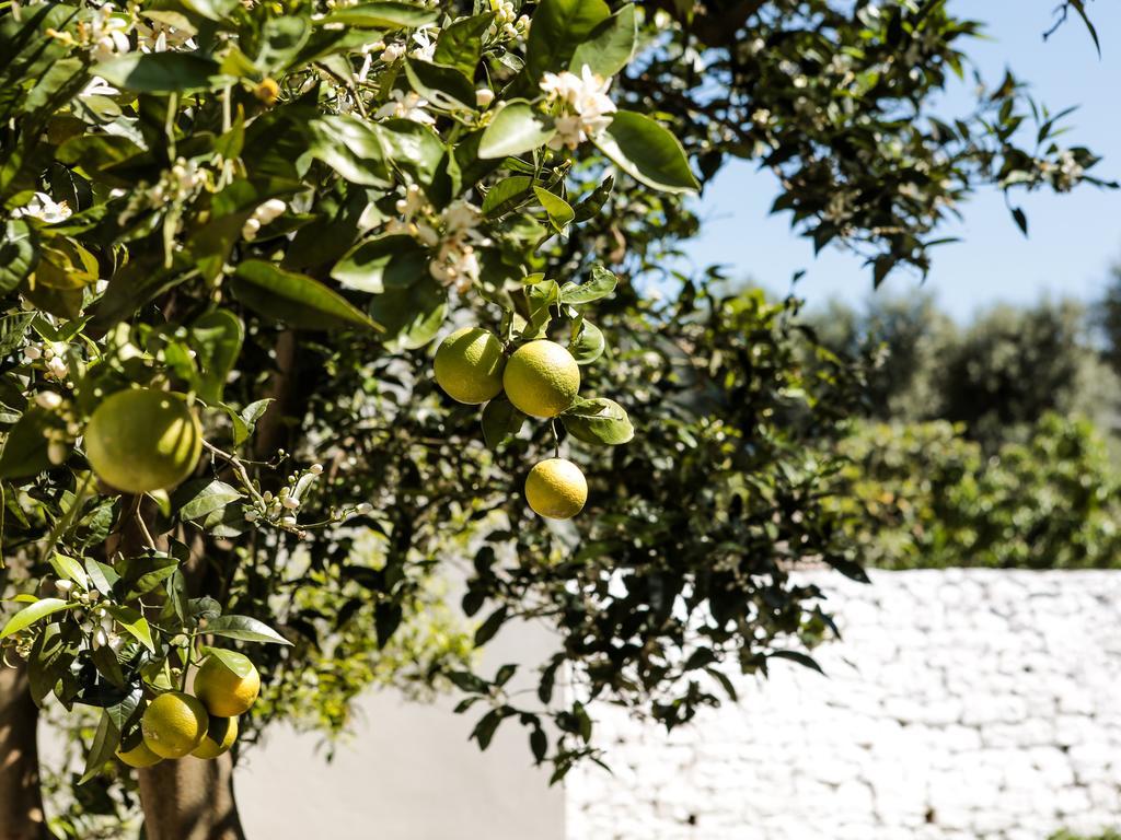 파사노 La Collina Degli Ulivi 아파트 외부 사진