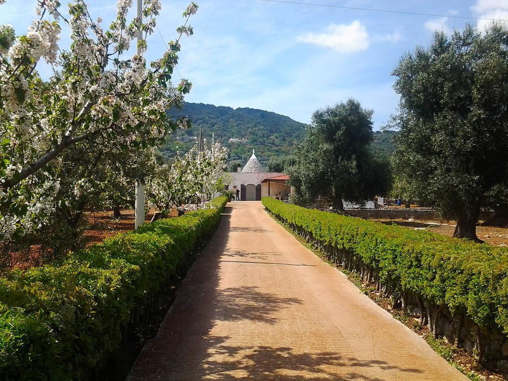 파사노 La Collina Degli Ulivi 아파트 외부 사진