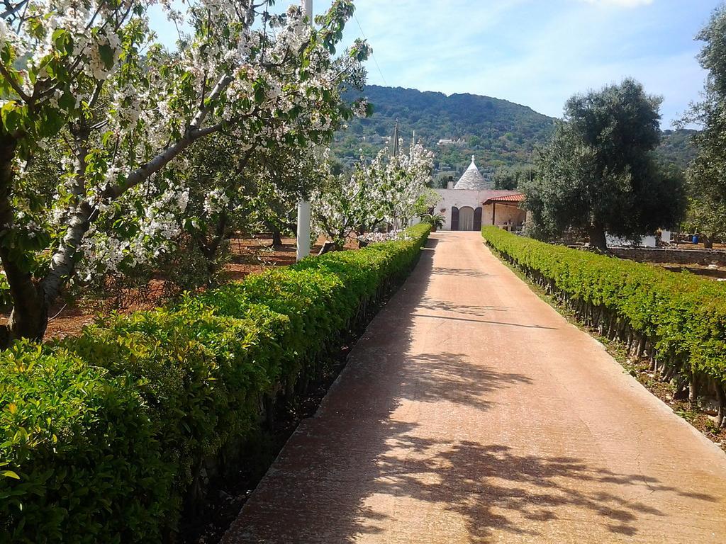 파사노 La Collina Degli Ulivi 아파트 외부 사진