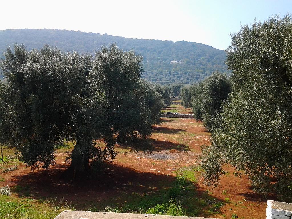 파사노 La Collina Degli Ulivi 아파트 외부 사진