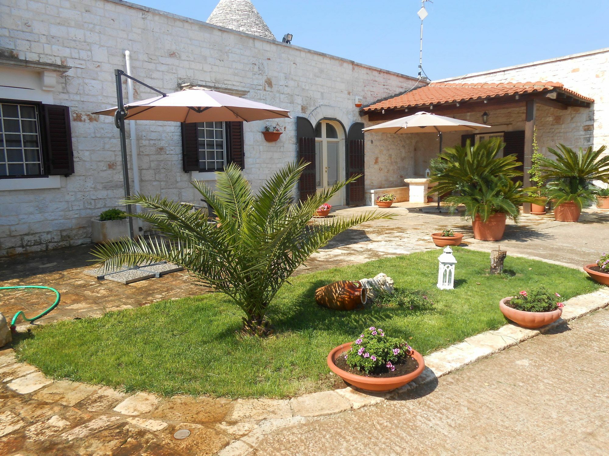 파사노 La Collina Degli Ulivi 아파트 외부 사진