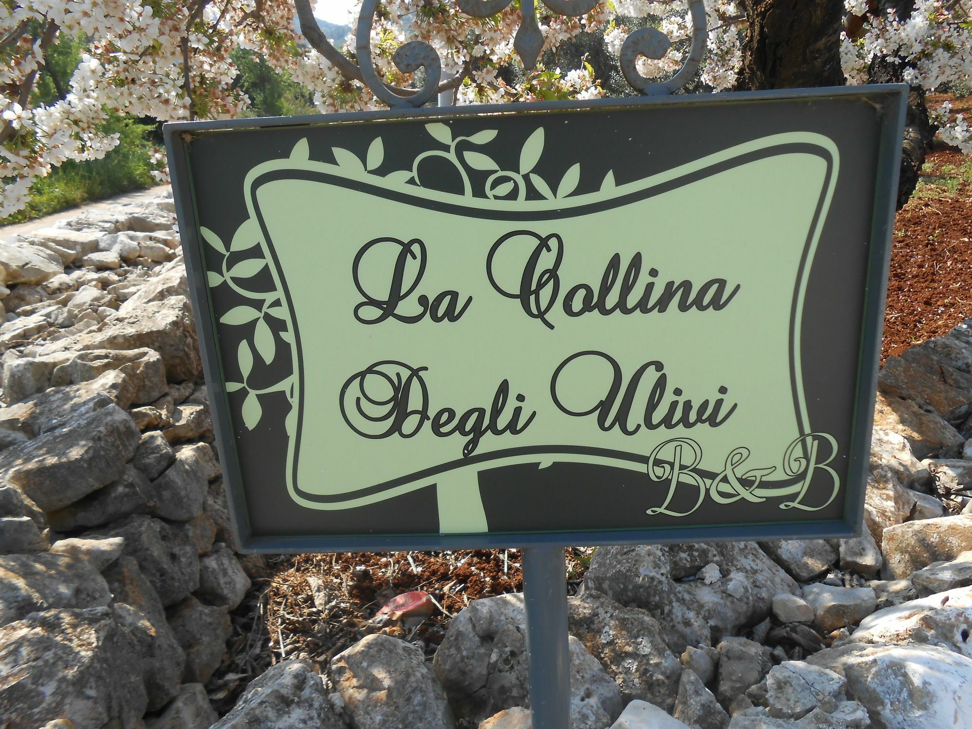 파사노 La Collina Degli Ulivi 아파트 외부 사진